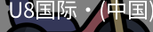 U8国际